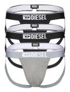 Umbr-Jockythreepack Jockstrap Diesel Grey