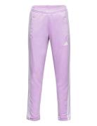 U Tr-Es 3S Pant Adidas Performance Pink