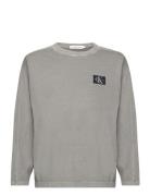 Mineral Dye Badge Ls T-Shirt Calvin Klein Grey