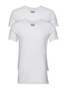 Bhdinton V-Neck Tee 2-Pack Blend White