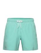 Hco. Guys Swim Hollister Green