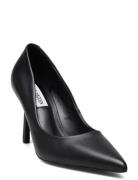 Classie Steve Madden Black