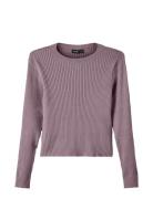 Nlffulla Ls Short Knit LMTD Purple