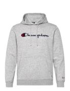 Hooded Sweatshirt Champion Grey