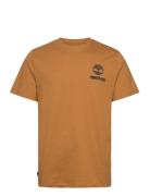 Short Sleeve Back Logo Graphic Tee Wheat Boot Timberland Brown