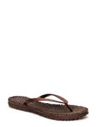 Flip Flop With Glitter Ilse Jacobsen Brown