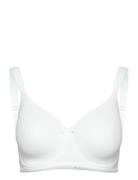 Smooth Line Padded Wired Bra White Swegmark White