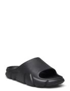 Charge Slide Steve Madden Black