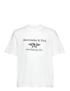 Anf Mens Graphics Abercrombie & Fitch White
