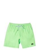 Everyday Solid Volley Yth 14 Quiksilver Green