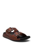 Cozmo M ECCO Brown