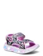 Girls Heart Lights - Savvy Cat Skechers Patterned