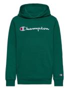 Hooded Sweatshirt Champion Green