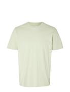 Slhaspen Print Ss O-Neck Tee W Noos Selected Homme Green