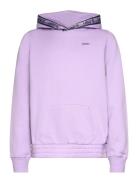 Levi's® Taping Pullover Hoodie Levi's Purple
