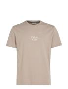 Optic Line Logo T-Shirt Calvin Klein Beige