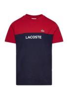 Tee-Shirt&Turtle Lacoste Patterned