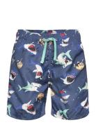 Swimshorts Aop Lindex Blue