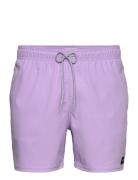 Daily Volley Rip Curl Purple
