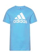 Essentials Logo T-Shirt Adidas Performance Blue