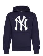 New York Yankees Primary Logo Graphic Hoodie Fanatics Navy