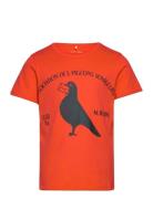 Pigeons Sp Ss Tee Mini Rodini Orange