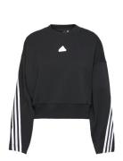 Future Icons 3-Stripes Sweatshirt Adidas Sportswear Black
