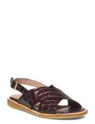 Sandals - Flat - Open Toe - Op ANGULUS Brown