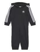 Sie Adidas Originals Black