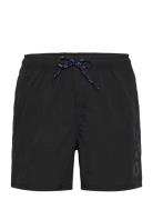 Leisure Logo Swim Shorts H2O Black