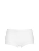 Maxi Brief Damella Of Sweden White