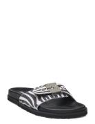 Sl Pescura Anne Printed Suede Scholl Black