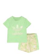 Short Tee Set Adidas Originals Green