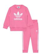 Crew Set Adidas Originals Pink