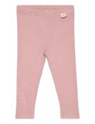 Legging Modal Petit Piao Pink