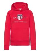 Archive Shield Hoodie GANT Red