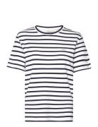 Striped Ss T-Shirt GANT Navy