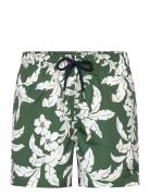 Palm Lei Print Swim Shorts GANT Green