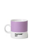 Espresso Cup PANT Purple