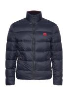 Balto2241 HUGO Navy