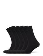 Bamboo Solid Crew Sock Frank Dandy Black