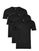 Pc Basic V Neck 3 Pack Michael Kors Black