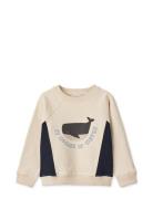 Aude Placement Sweatshirt Liewood Cream