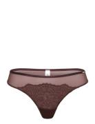 Brief Thong Chloe Reg Lindex Brown