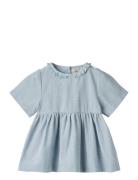 Dress S/S Elma Wheat Blue