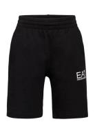 Bermuda EA7 Black