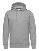 Reg Shield Hoodie GANT Grey