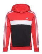 J 3S Tib Fl Hd Adidas Sportswear Red