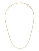 Elan Flat Chain Necklace Short G Daniel Wellington Gold