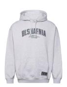 Backstage College Hoodie BLS Hafnia Grey